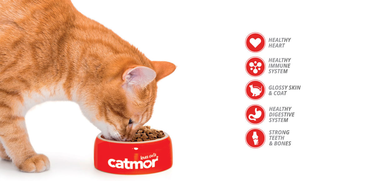 catmor cat food