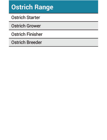 Driehoek Ostrich Range Information