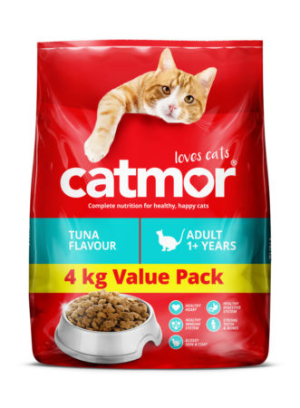 catmor kitten 2 in 1