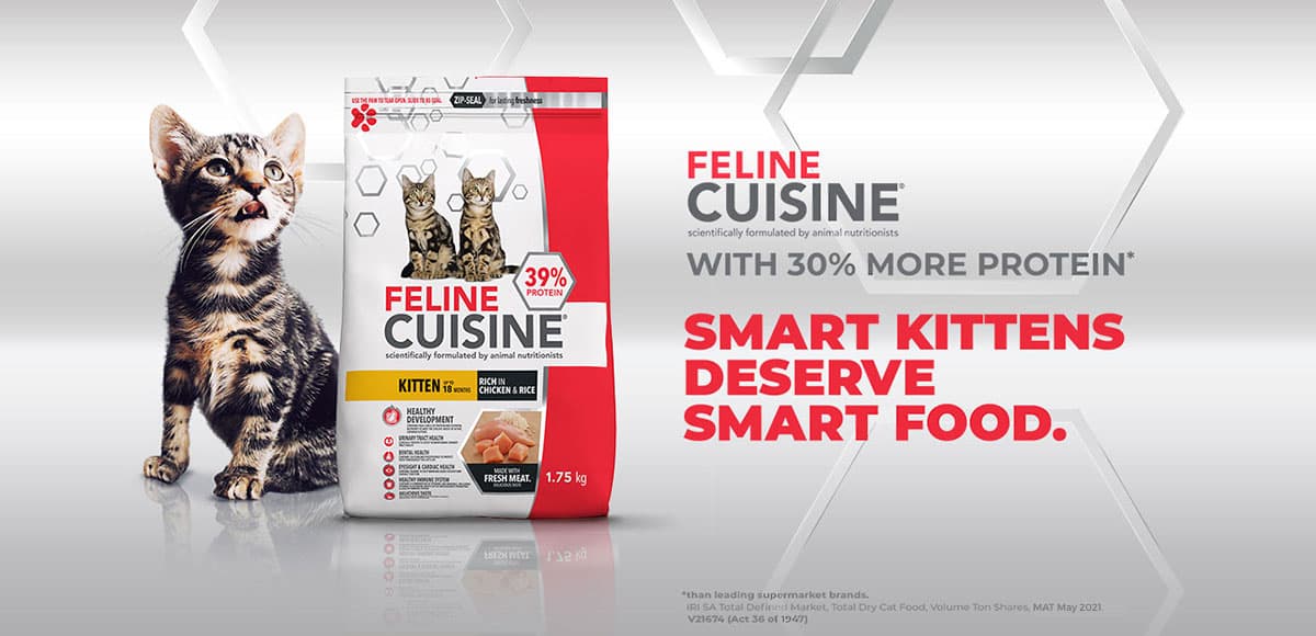 Feline 2025 cuisine kitten