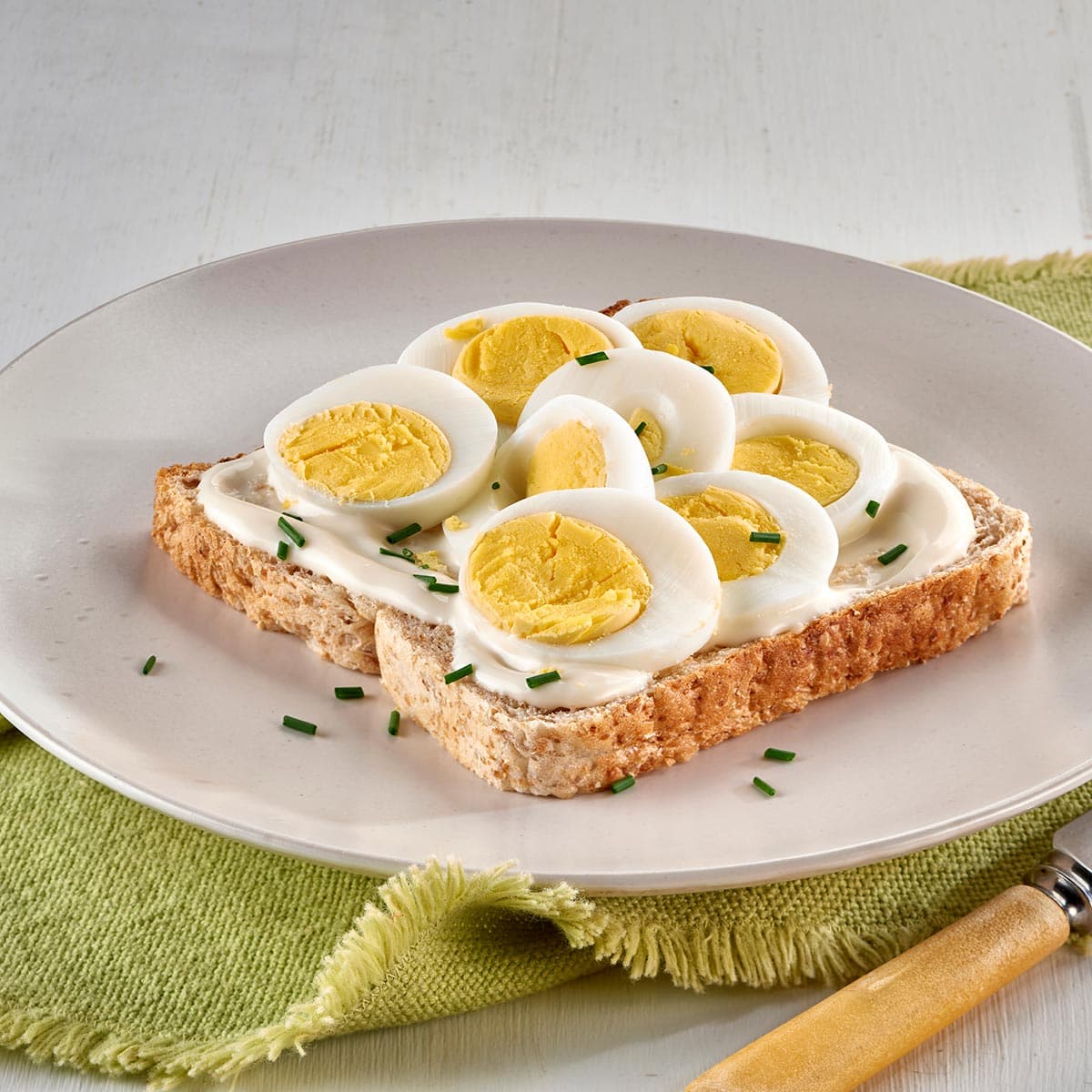 Egg Mayonnaise Open Sandwich