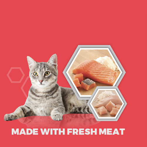 Feline Cuisine RCL FOODS