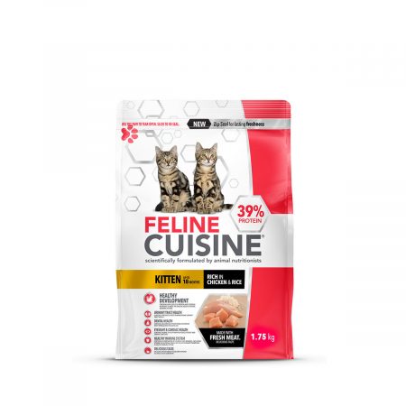 Feline Cuisine Kitten