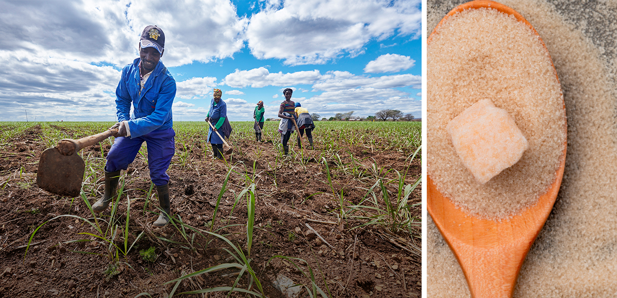 WHY COMMUNITY ENGAGEMENT MATTERS - RCL FOODS