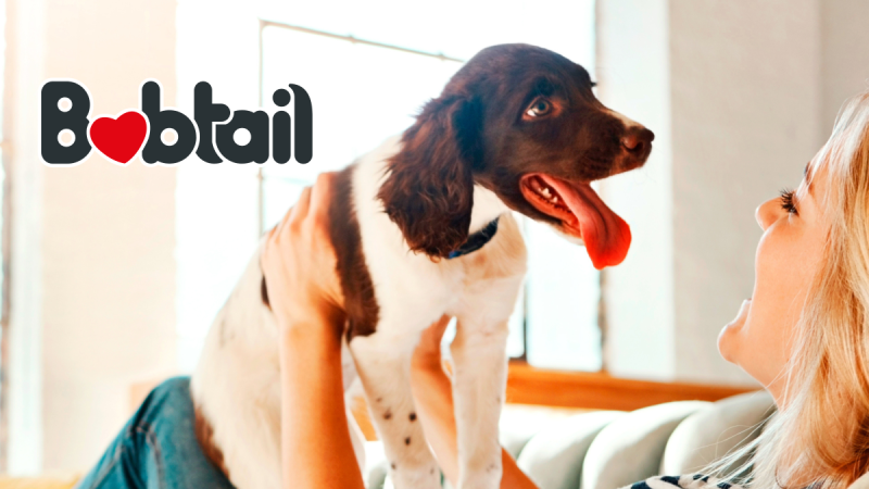 Bobtail: The proudly South African brand for proudly South African dogs