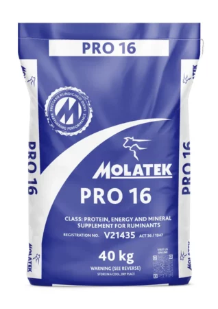 Molatek Pro 16 white