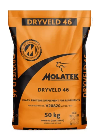 Molatek DRYVELD 46
