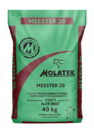 Molatek MEESTER 20