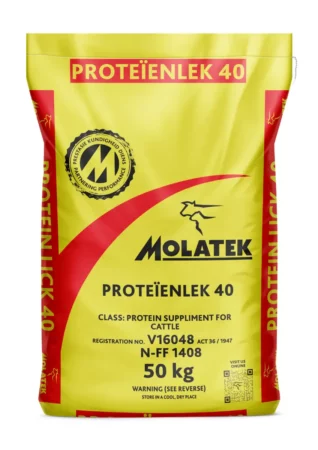 Molatek PROTEIENLEK 40