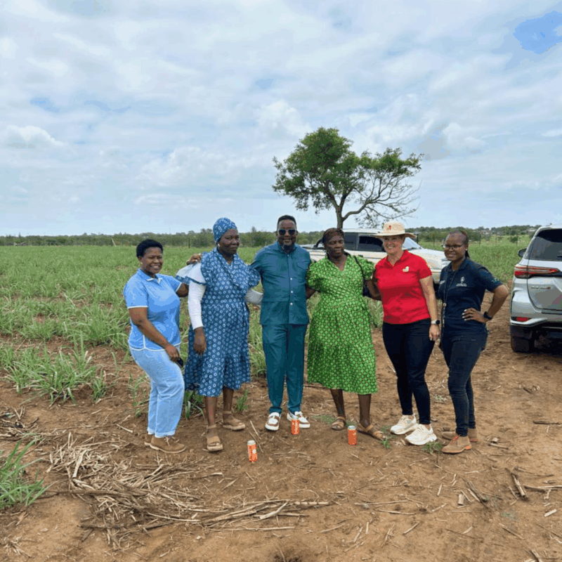 From 45 hectares to a thriving enterprise: the women growing a stronger future